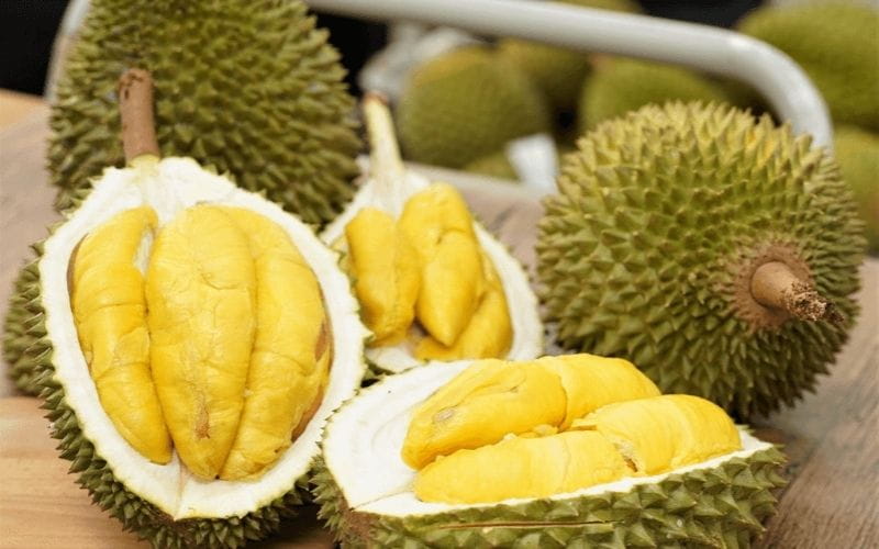 Quy Trình Sau Thu Hoạch Sầu Riêng: Những Bước Quan Trọng Giúp Giữ Chất Lượng Trái