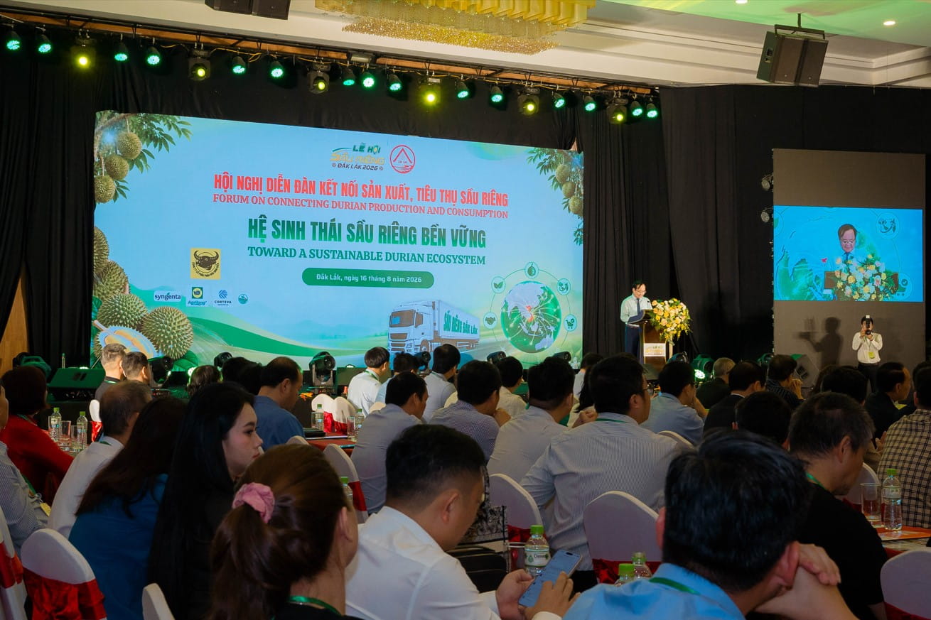 Từ Vùng Trồng Đến Thị Trường: Định Hướng Phát Triển Ngành Sầu Riêng Đắk Lắk